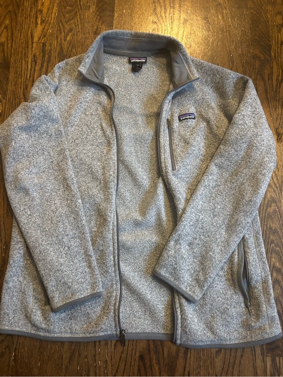 Patagonia Other - Patagonia Light Gray Heather Fleece Jacket